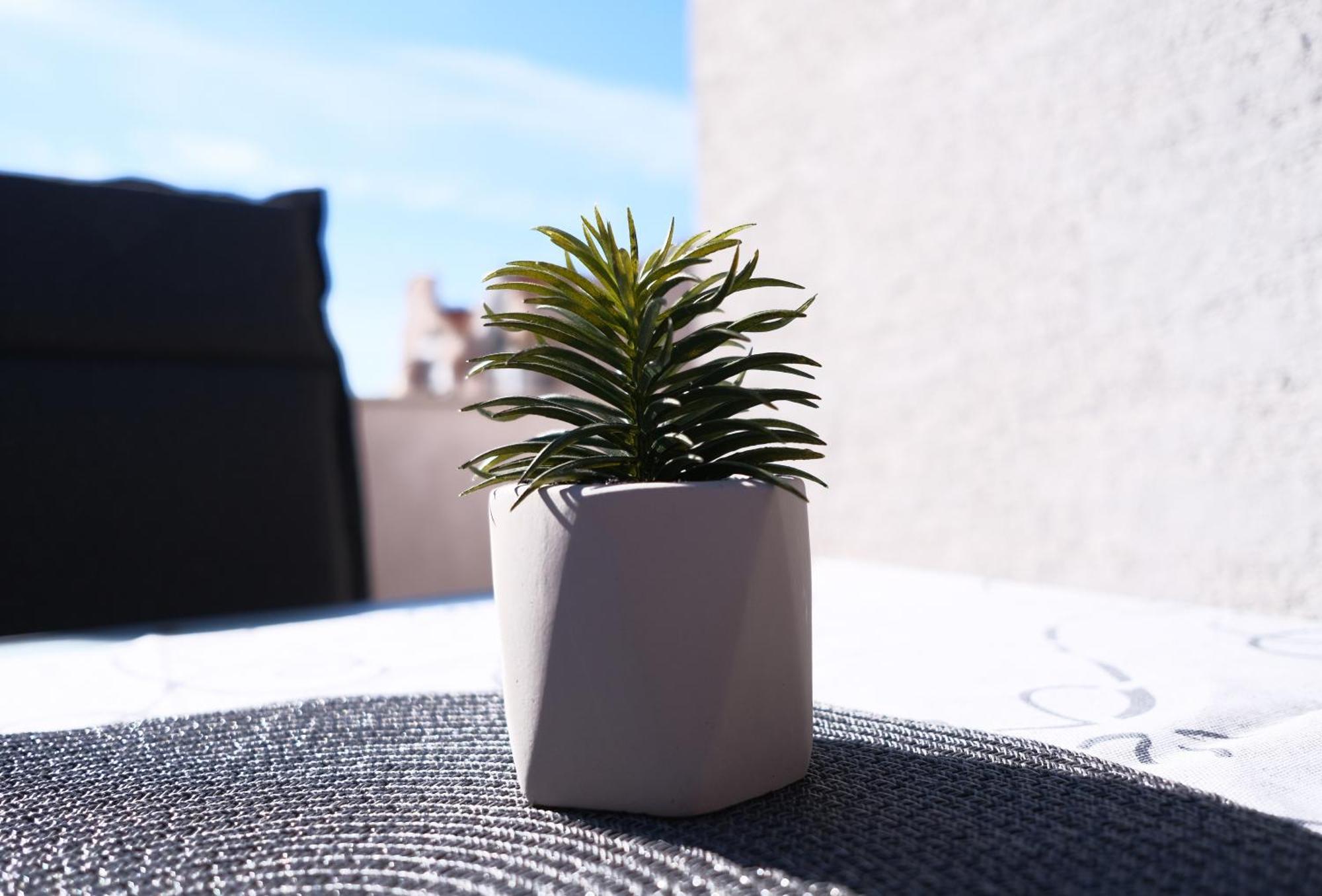 Apartmán Ap Silvija Zadar Exteriér fotografie